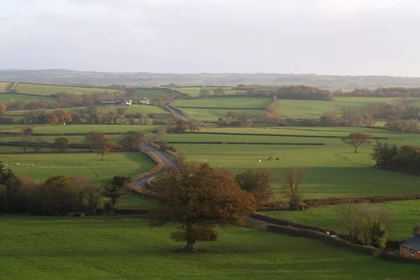 Tamar Valley Area of Outstanding Natural Beauty 